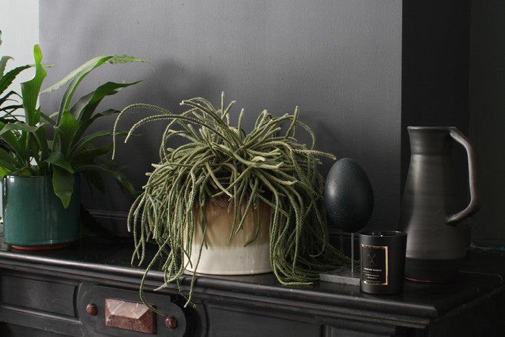 exploring colour in theo bert pot\u0027s home \u2013 att pynta